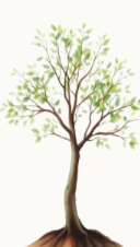 Watercolor oak sapling